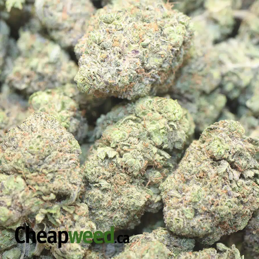 TONY PINK GOO 3 I Cheap Pink Kush
