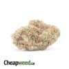 White Russian - *Deal Of The Day*