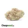 White Russian - *Deal Of The Day*