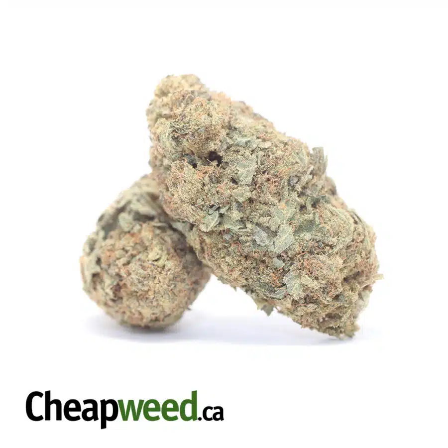 WHITE WIDOW AA 3 I White Widow AA+
