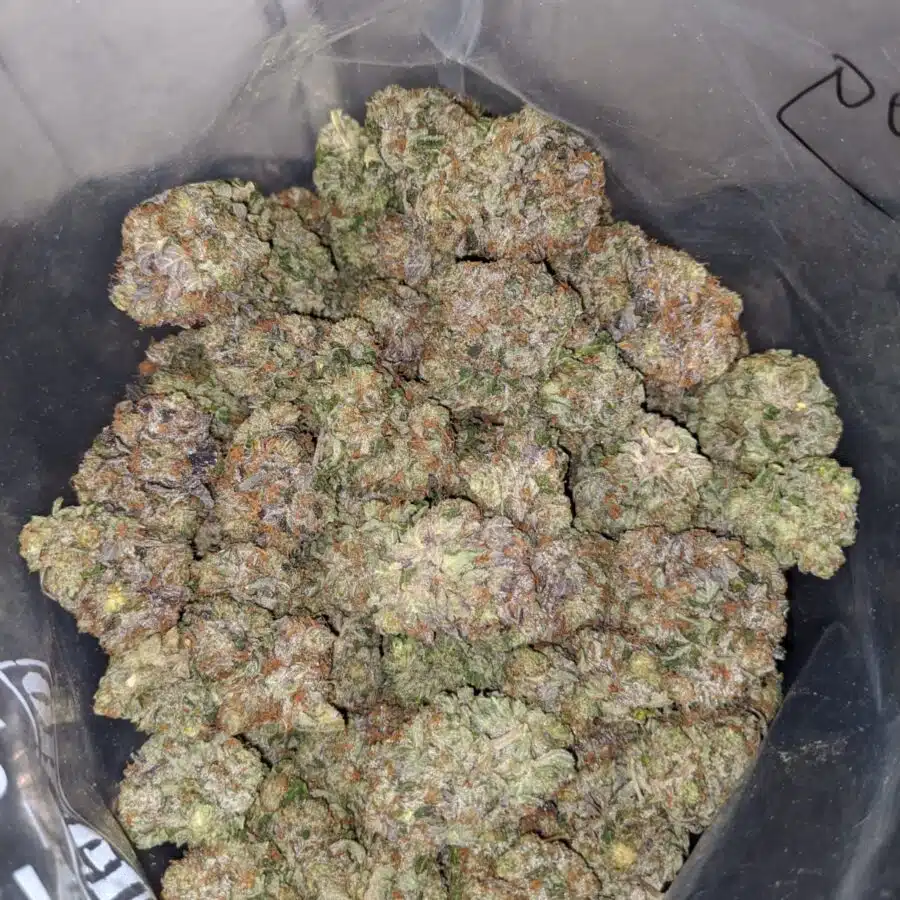 WhatsApp Image 2022 06 27 at 3.47.15 PM 1 I Chemdawg 26.11% THC