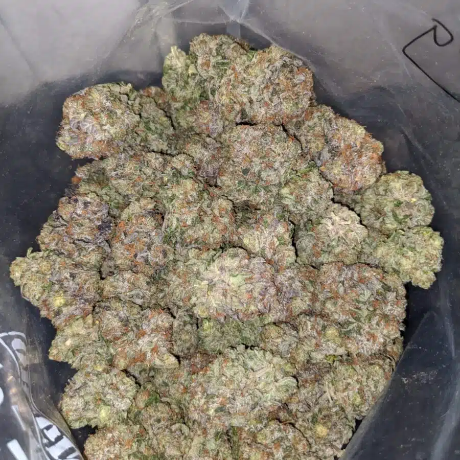 WhatsApp Image 2022 06 27 at 3.47.15 PM I Chemdawg 26.11% THC