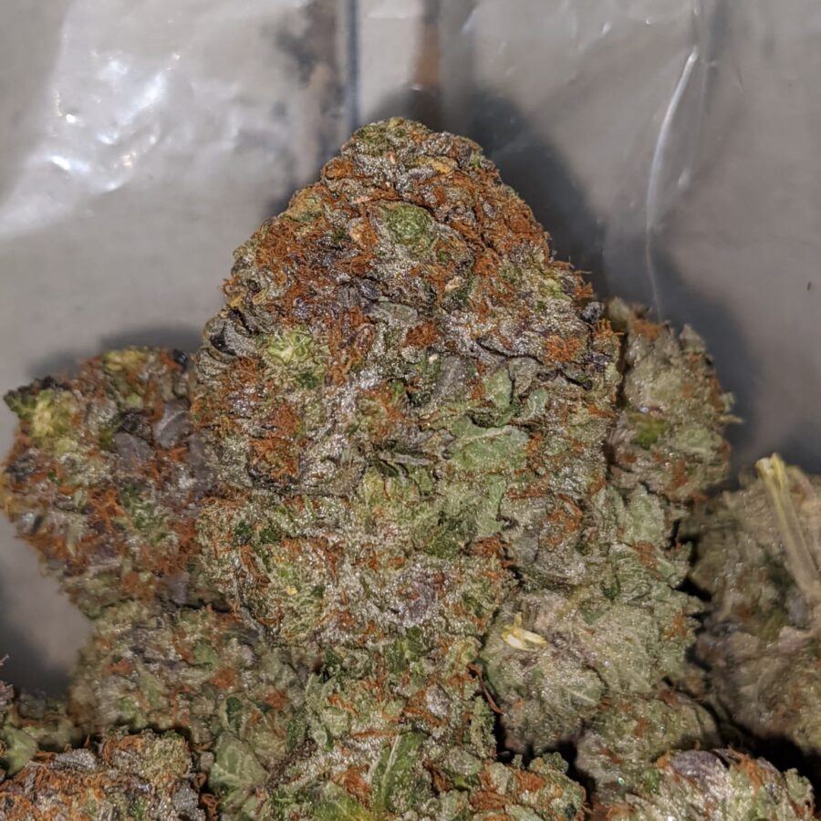 Chemdawg 26.11% THC