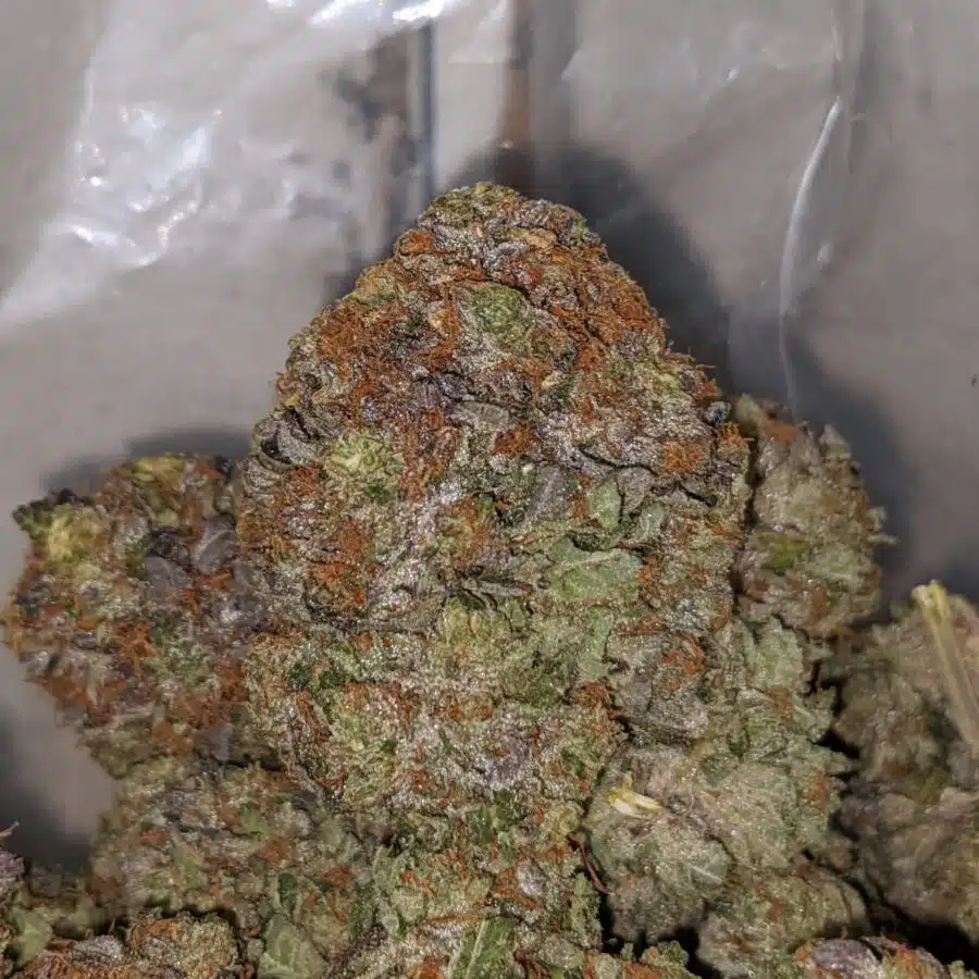 WhatsApp Image 2022 06 27 at 3.47.16 PM I Chemdawg 26.11% THC