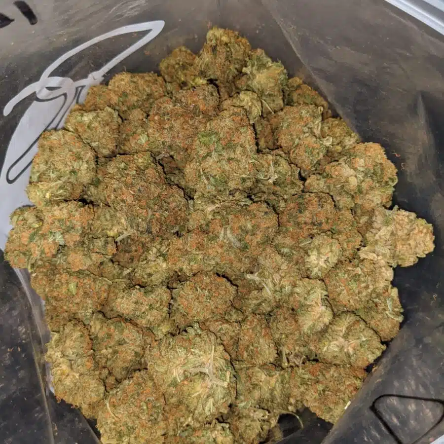 agent orange dod 4 I Agent Orange - *Deal Of The Day*