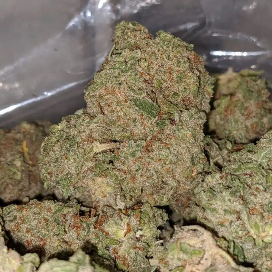 apple fritter aaa 1 I Apple Fritter AAA