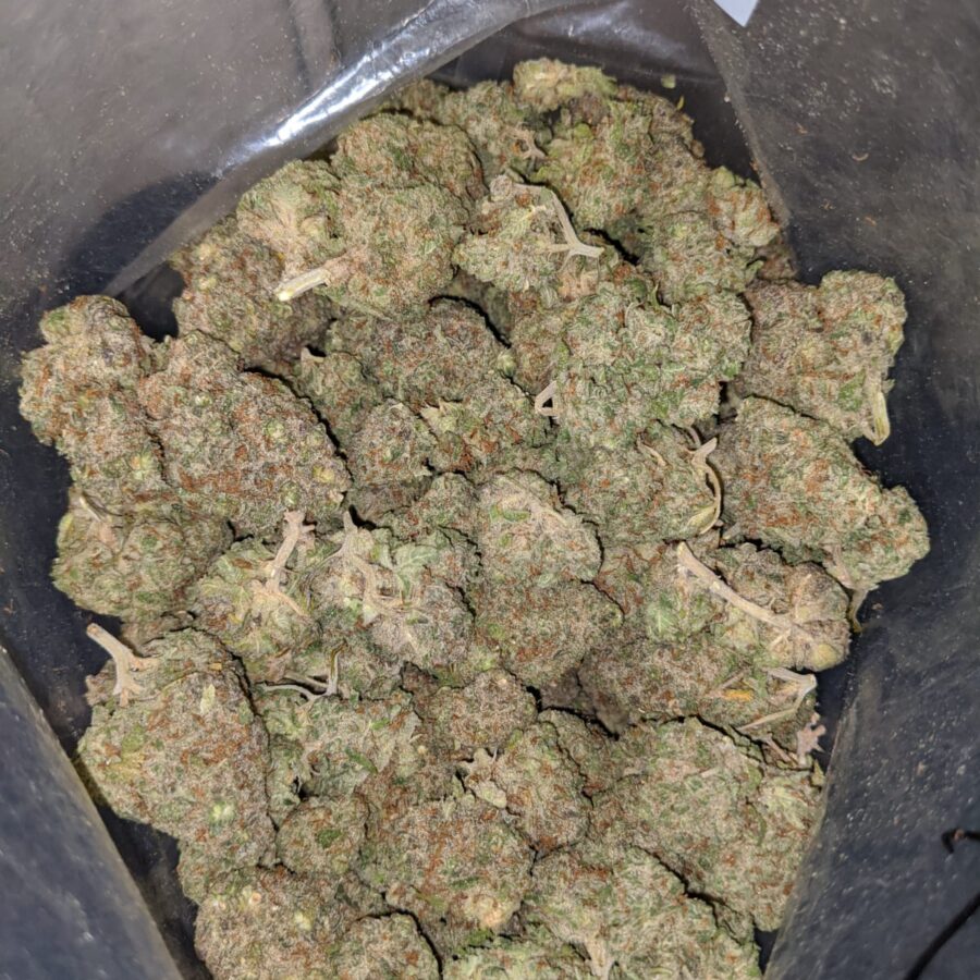 apple fritter aaa 3 I Apple Fritter AAA