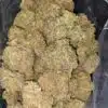 Emma's SFV OG