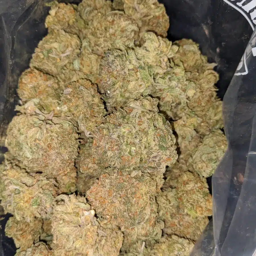 cali bubba 4 I Emma's SFV OG