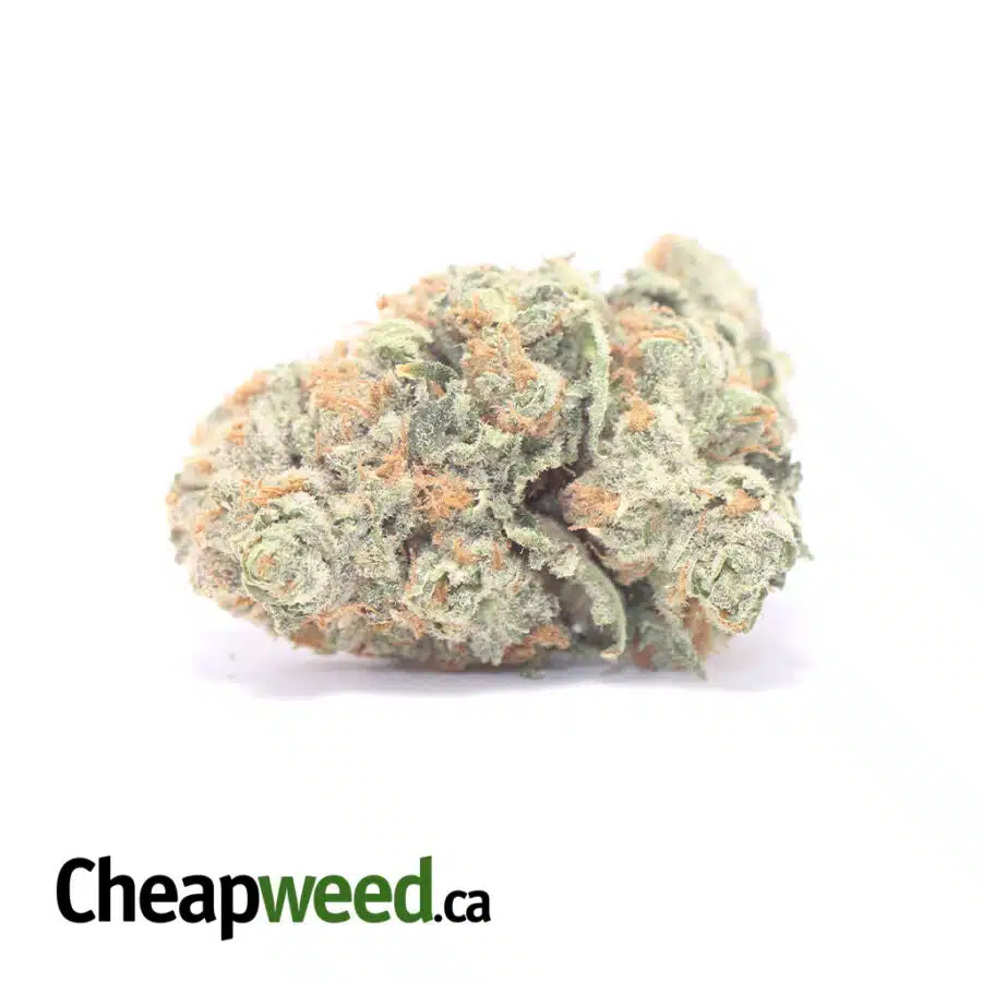 Green Farms Cookie Wreck