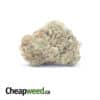 Cosmic Gas - *Deal Of The Day*