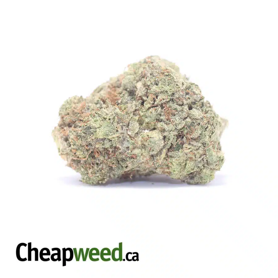 Cosmic Gas - *Deal Of The Day*