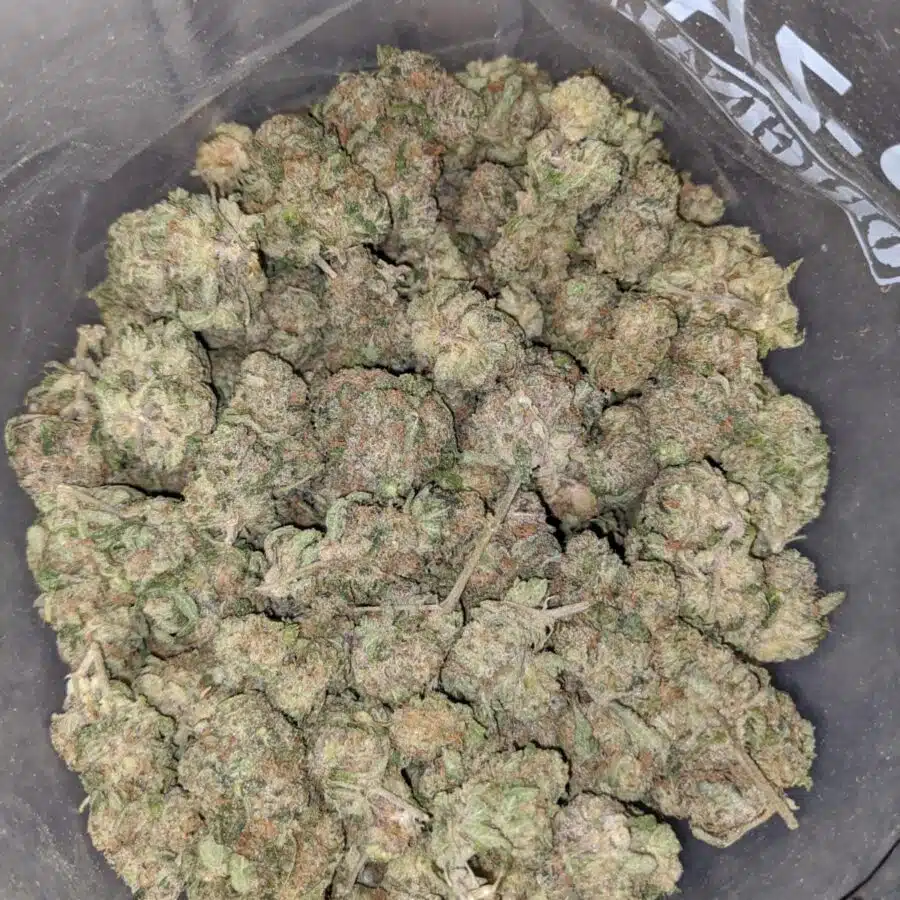 crystal coma dod 2 I Crystal Coma - *Deal Of The Day*