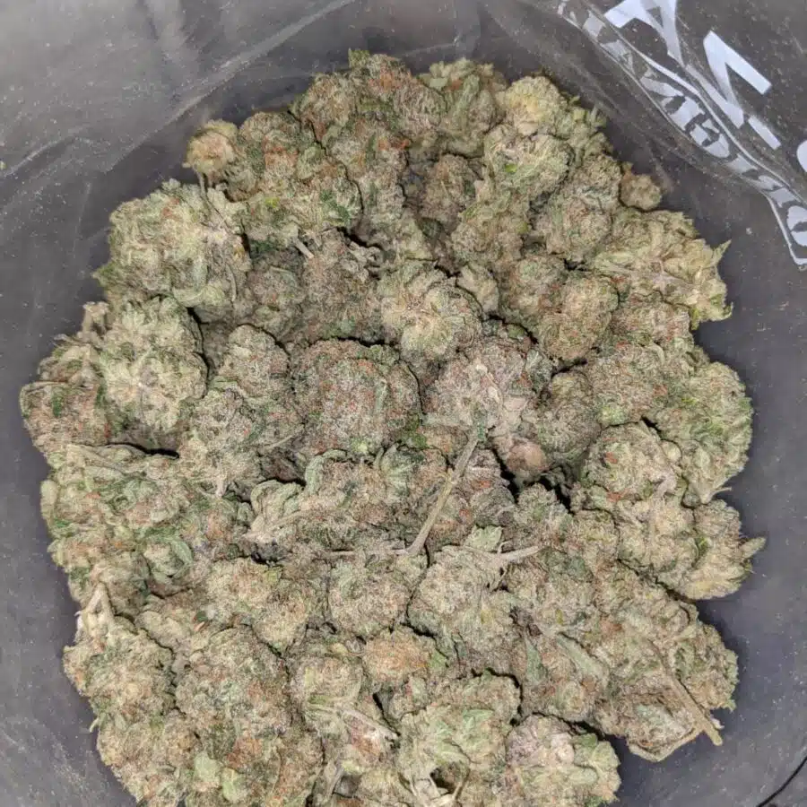 crystal coma dod 3 I Crystal Coma - *Deal Of The Day*