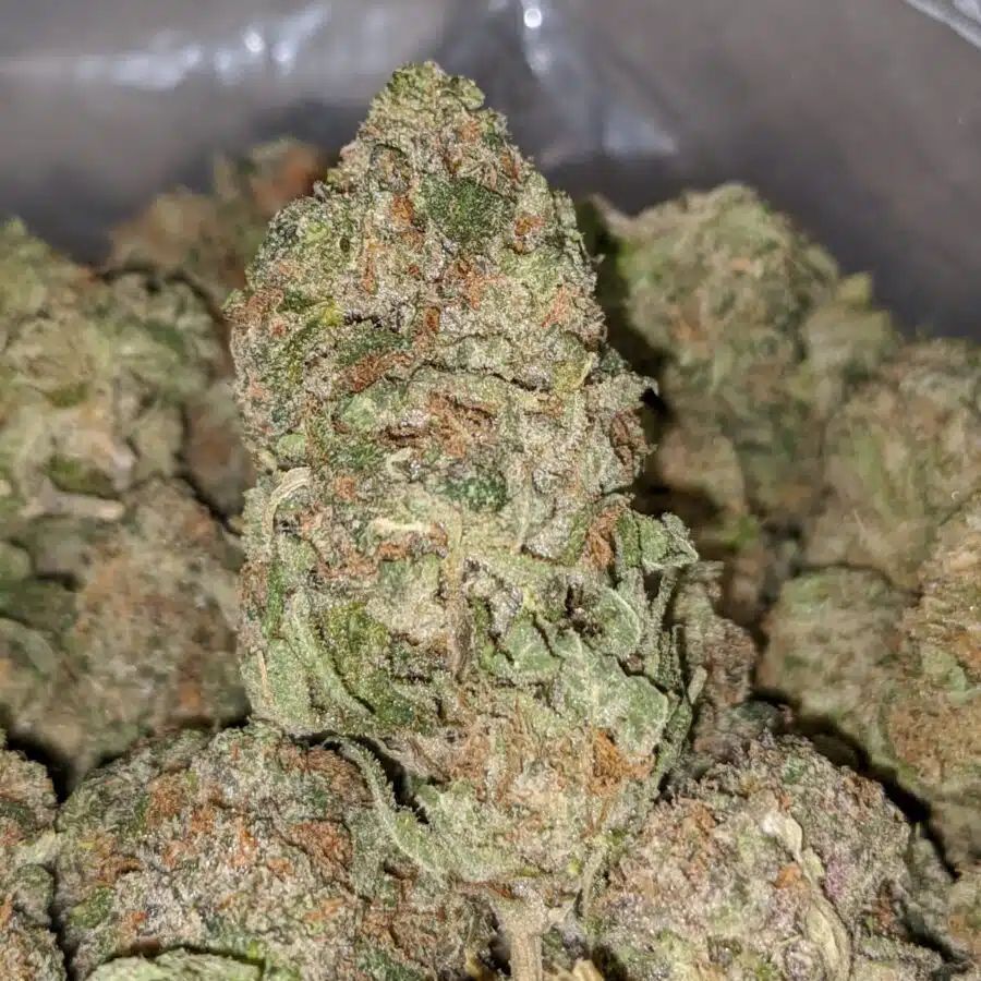 crystal coma dod 4 I Crystal Coma - *Deal Of The Day*