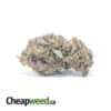 Emma's Granddaddy Purple