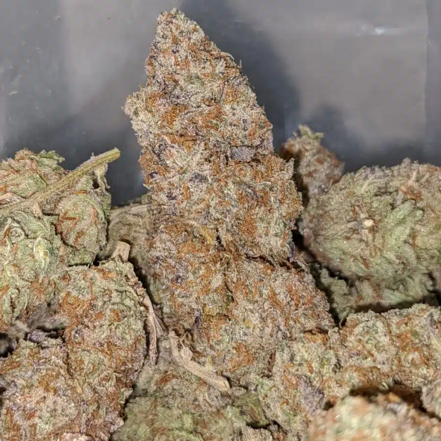 emmas parkfire 2 I $75 Oz - Parkfire
