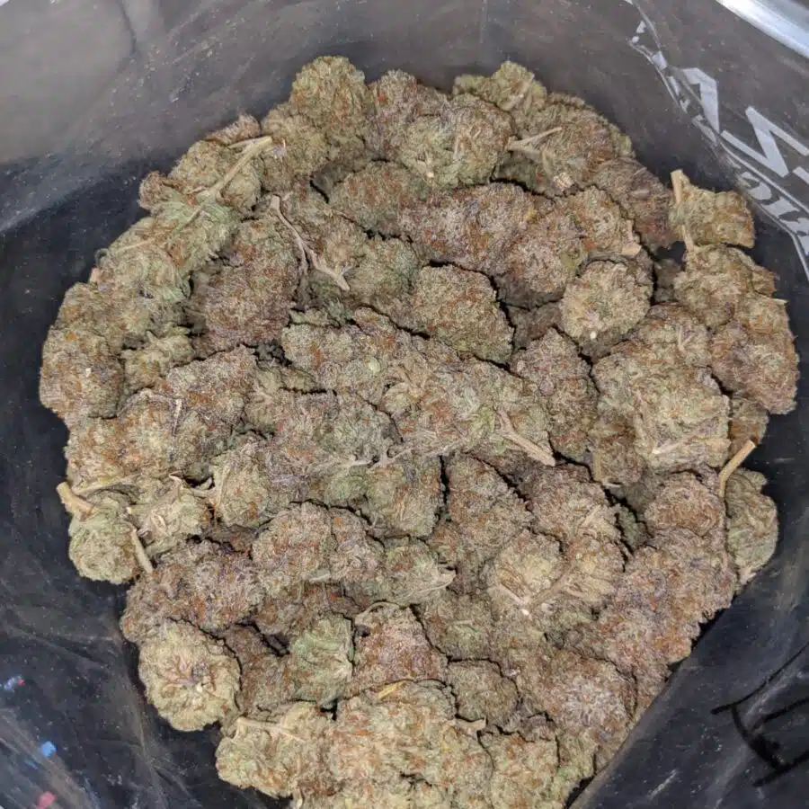 emmas parkfire 4 I $75 Oz - Parkfire