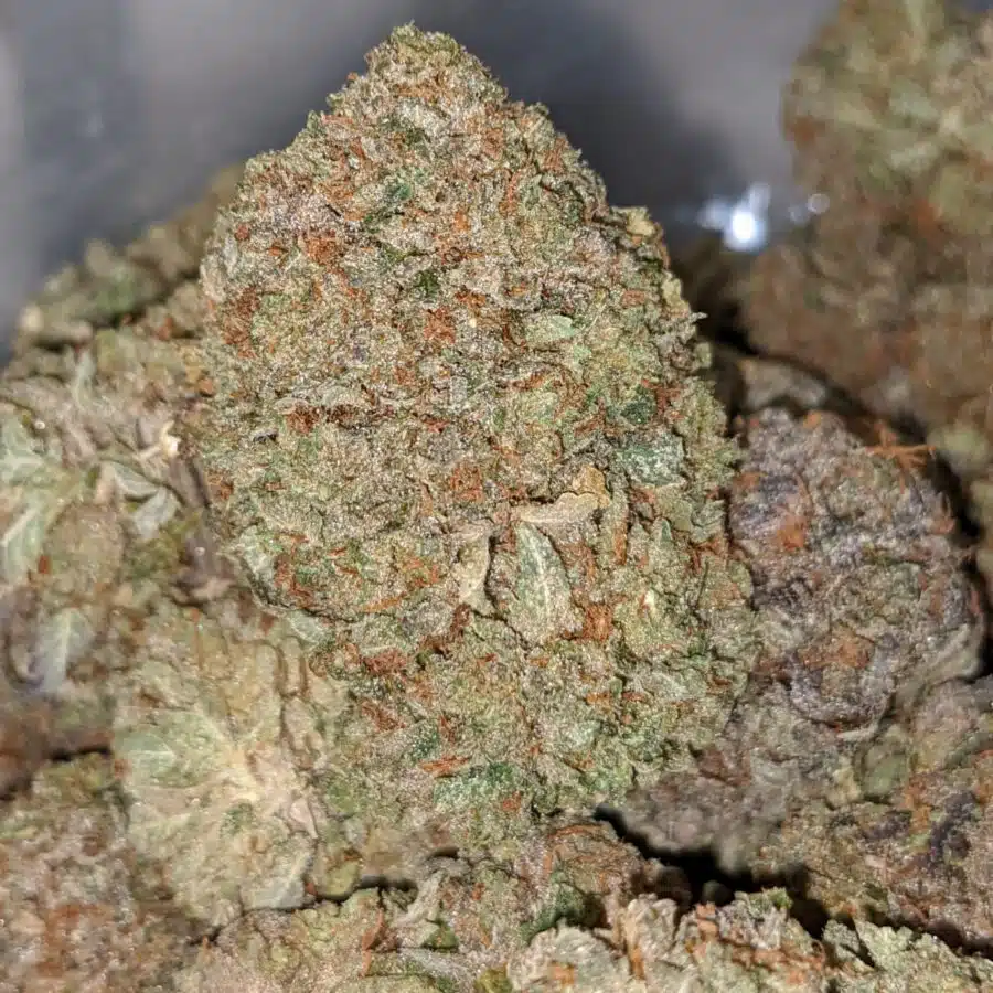 emmas purple bubba 1 I Emma's Purple Bubba