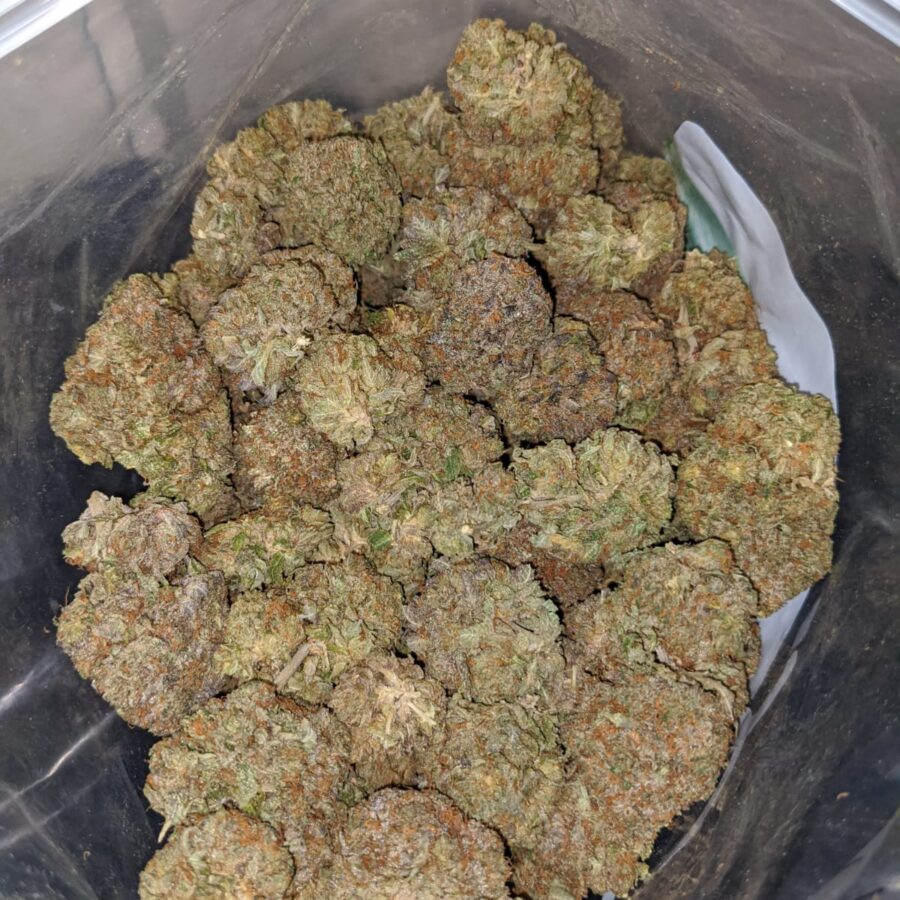 emmas purple bubba 3 I Emma's Purple Bubba