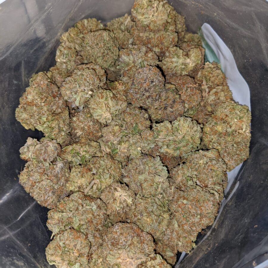 emmas purple bubba 4 I Emma's Purple Bubba