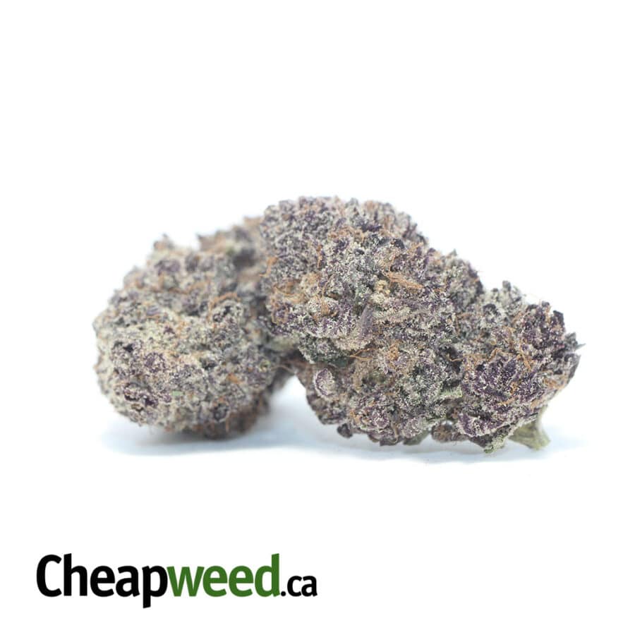 gods green crack 1 I God's Green Crack AAAA