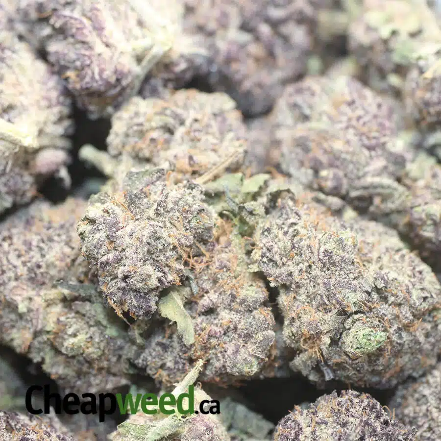 gods green crack 2 I God's Green Crack AAAA