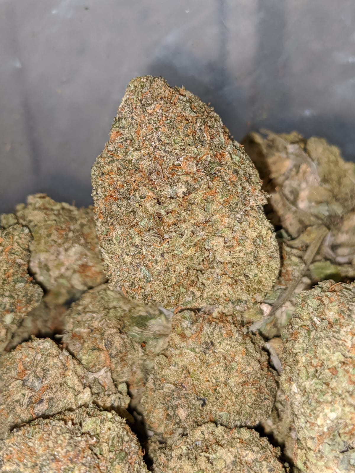 Greasy Bubba * Deal Of The Day * - Image 4