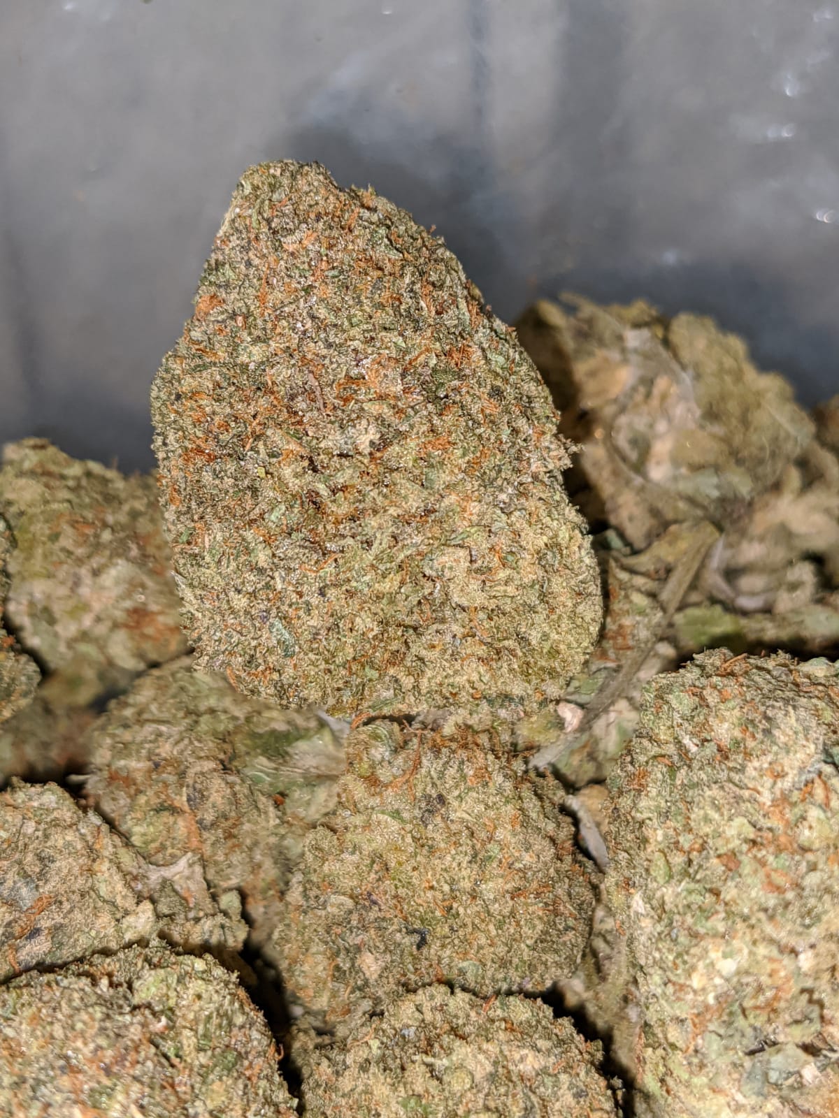 Greasy Bubba * Deal Of The Day * - Image 5
