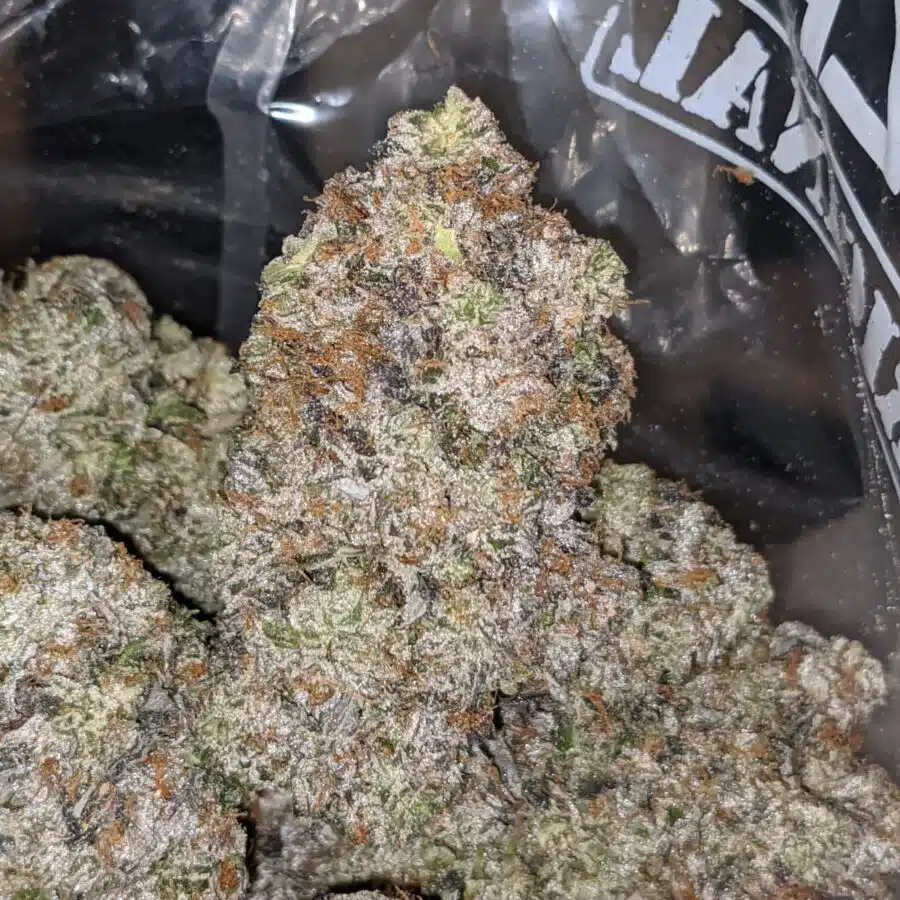 holy grail aaaa 1 I Holy Grail AAAA+