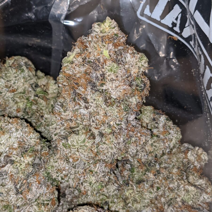 holy grail aaaa 2 I Holy Grail AAAA+
