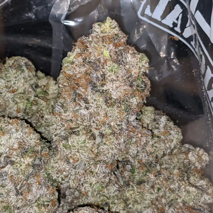 holy grail aaaa 2 I Holy Grail AAAA+