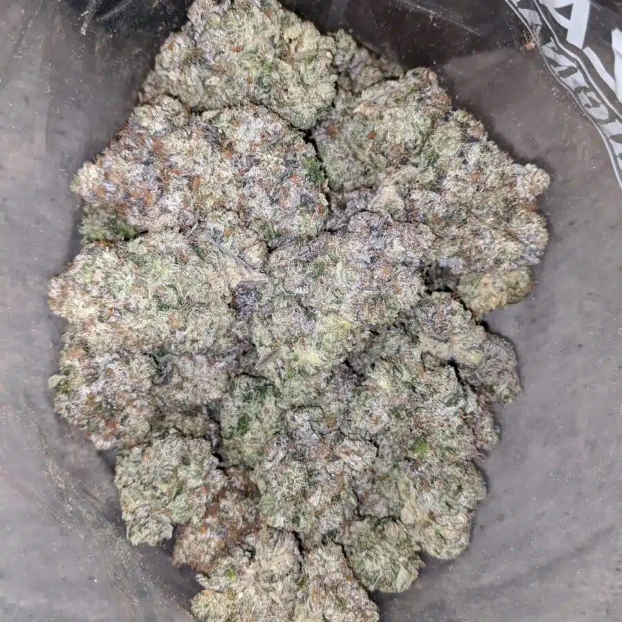 holy grail aaaa 3 I Holy Grail AAAA+