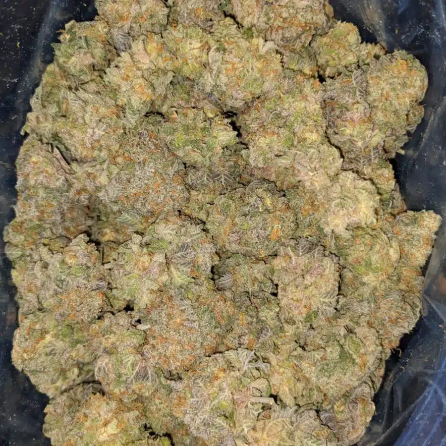 jilly bean aaa 3 I Purple Space Queen