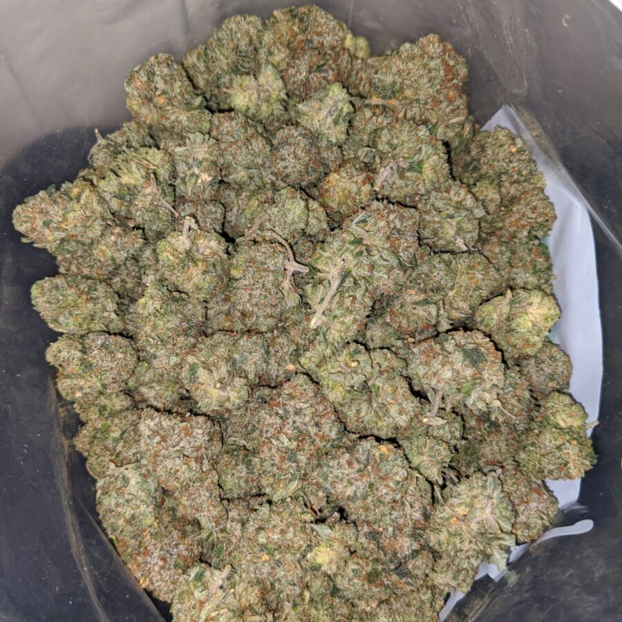 kings bubba dod 1 I King's Bubba - *Deal Of The Day*
