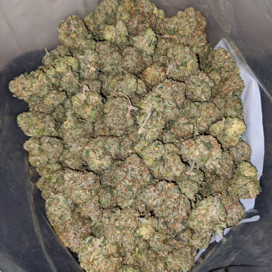 kings bubba dod 2 I King's Bubba - *Deal Of The Day*