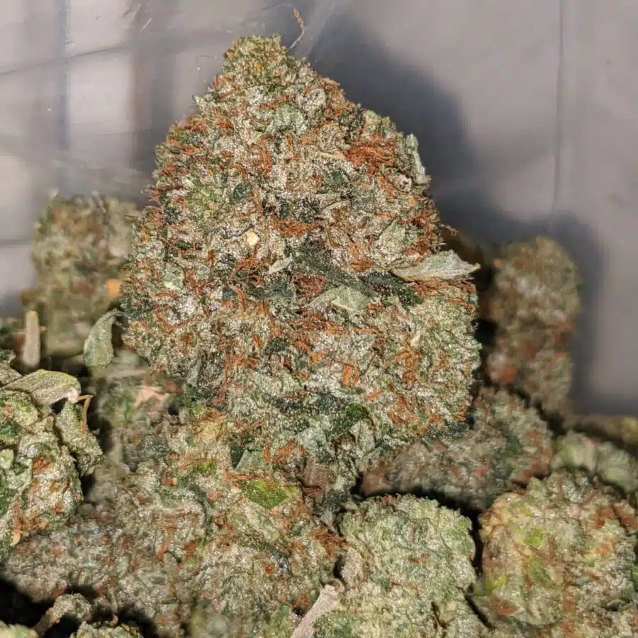 kings bubba dod 3 I King's Bubba - *Deal Of The Day*