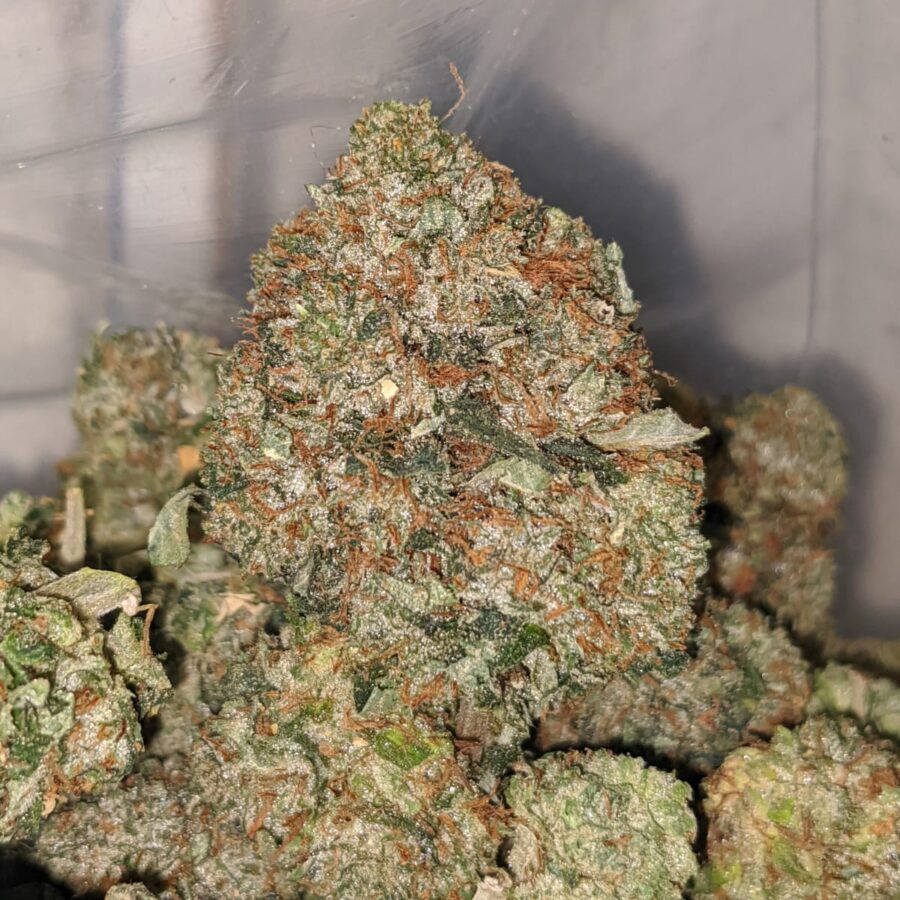 kings bubba dod 4 I King's Bubba - *Deal Of The Day*