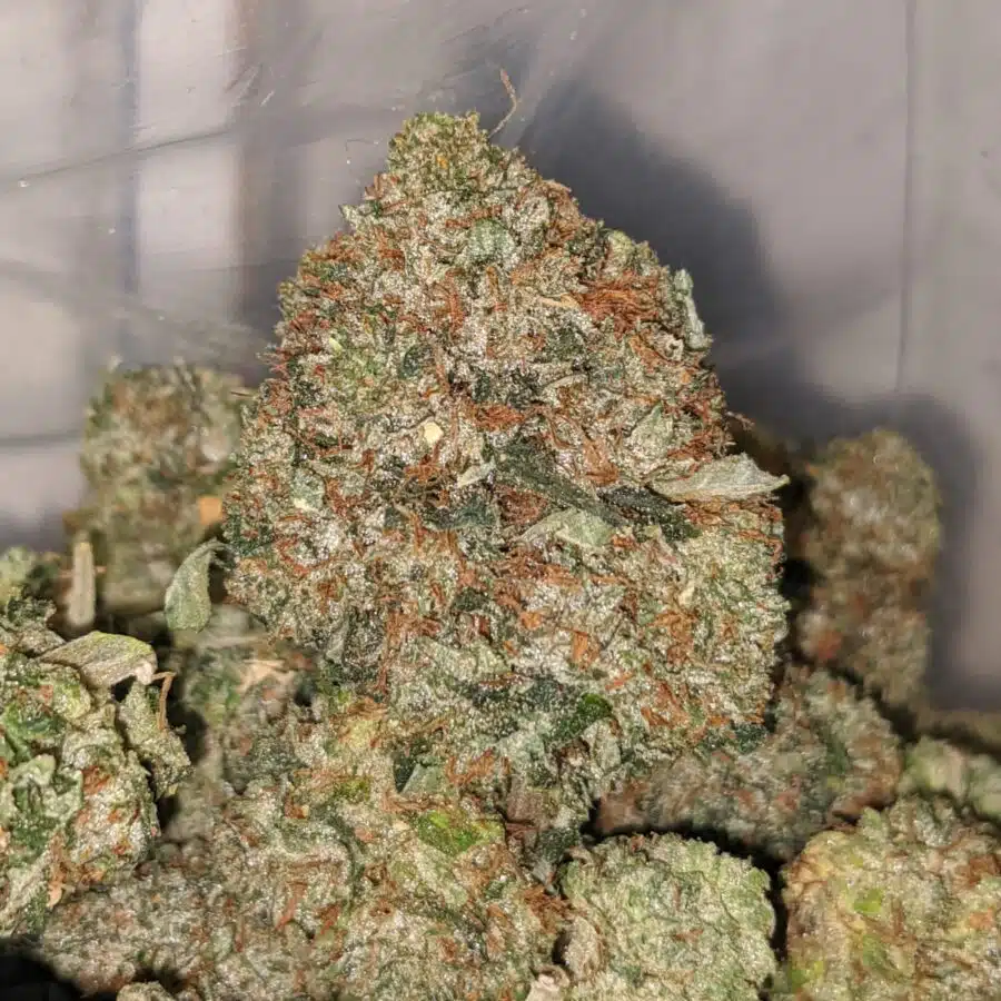 kings bubba dod 4 I King's Bubba - *Deal Of The Day*