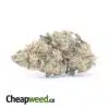 Kubbie Kush AA+ (Smalls)