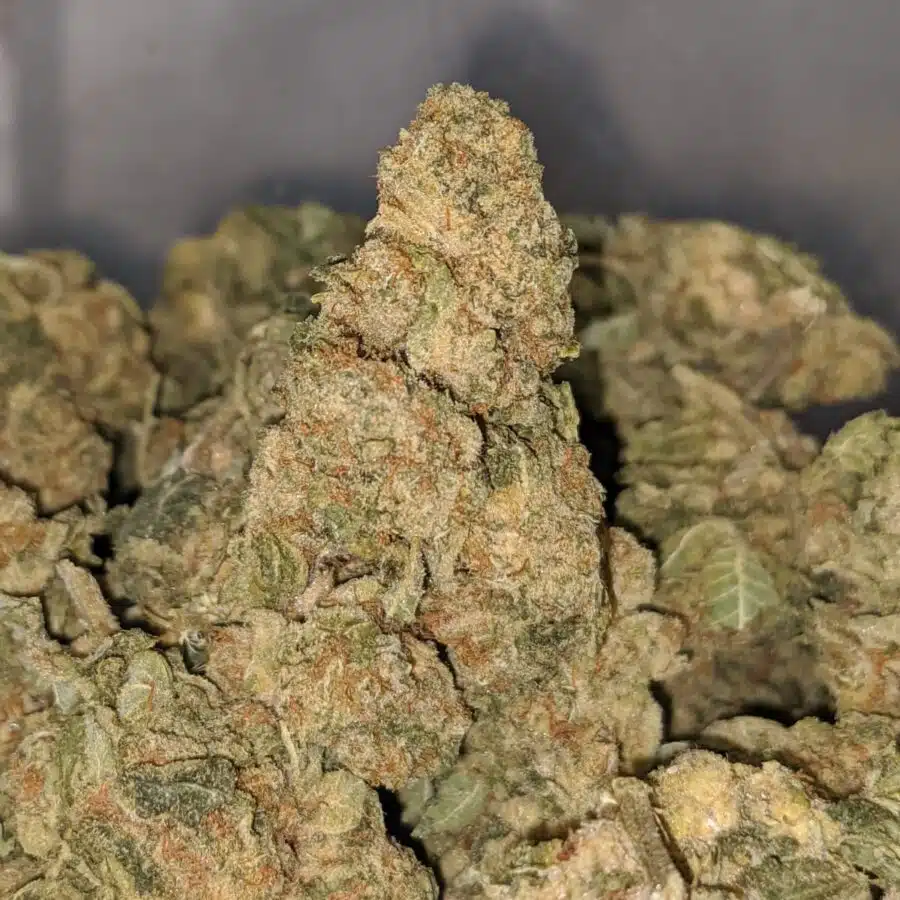 lemon punch bulk special 2 I Lemon Punch Bulk Special
