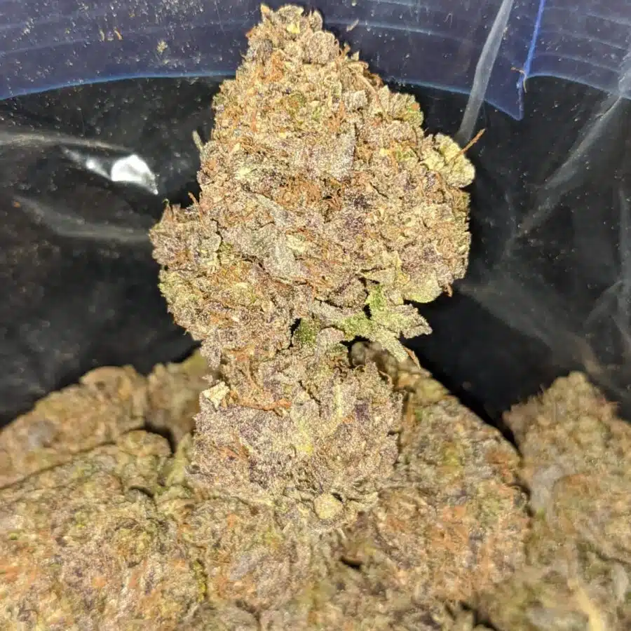 Alternative view of Super Grape AAA