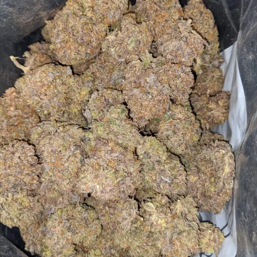mandarian cookies 3 rotated I Super Grape AAA