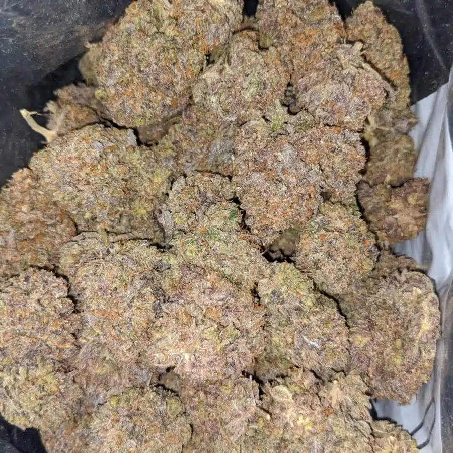 Super Grape AAA