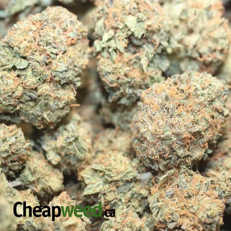 orange kush dod 2 I Orange Candy Smalls