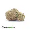 Orange Candy Smalls