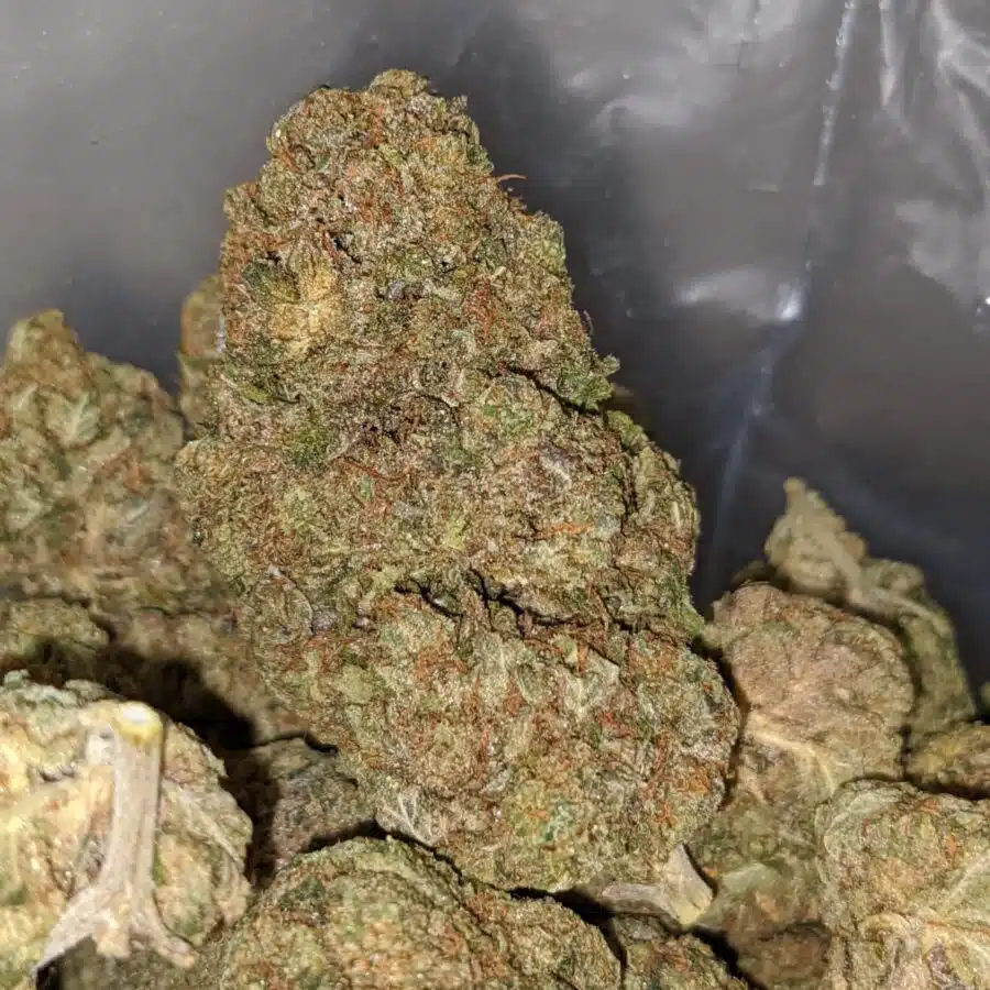 pink crack dod 1 I Pink Crack - *Deal Of The Day*
