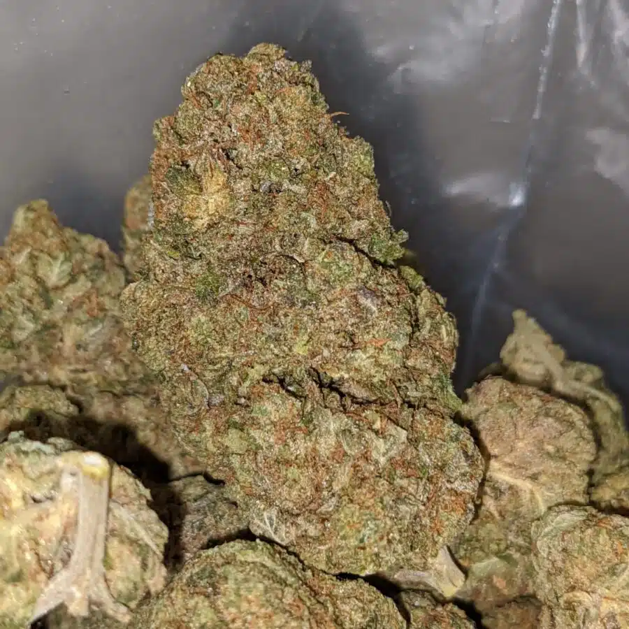 pink crack dod 2 I Pink Crack - *Deal Of The Day*