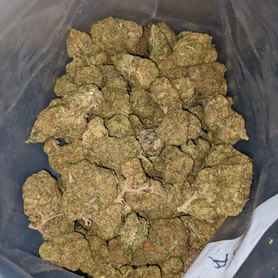 pink crack dod 4 I Pink Crack - *Deal Of The Day*