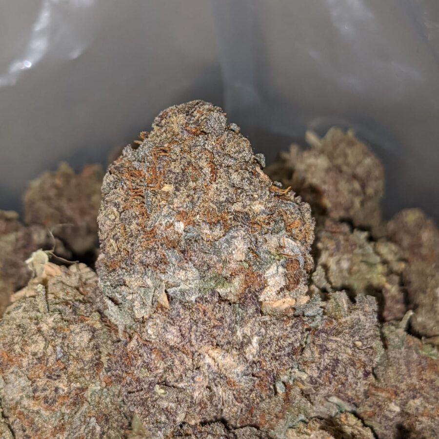 purple haze aa 1 I Purple Haze AA+